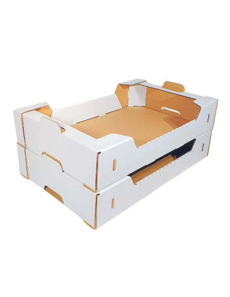 Karton na pączki 600x400x115 Biały