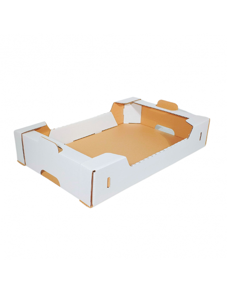 Karton na pączki 600x400x115 Biały